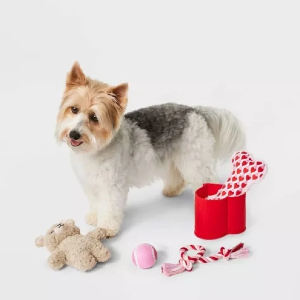 NEW! Doggy Gift Bundle Including Four(4) Toys & One (1) Heart Gift Box